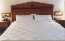 quilt.jpg (4826 bytes)